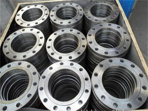 钢制平焊法兰价格出新 自由锻件